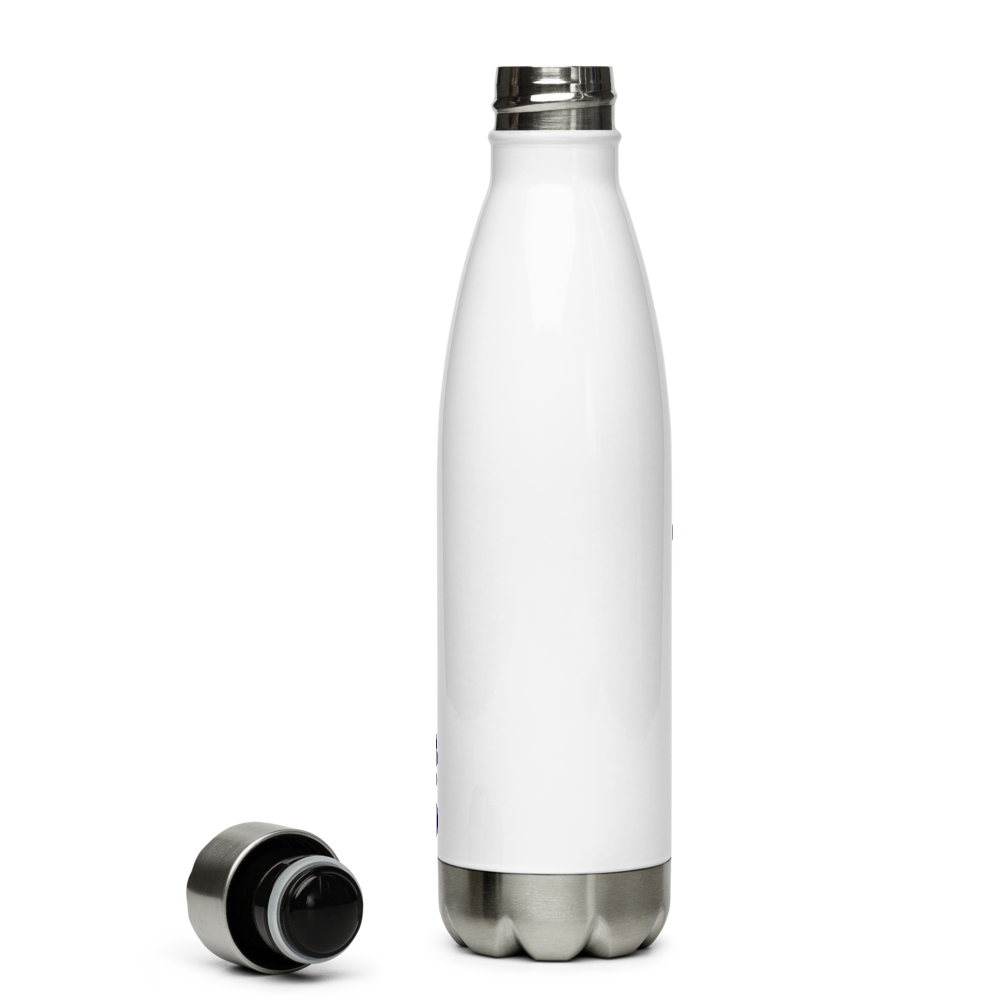 Flick City Discs Stainless Steel Water Bottle