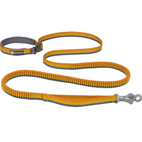 Roamer Bungee Leash