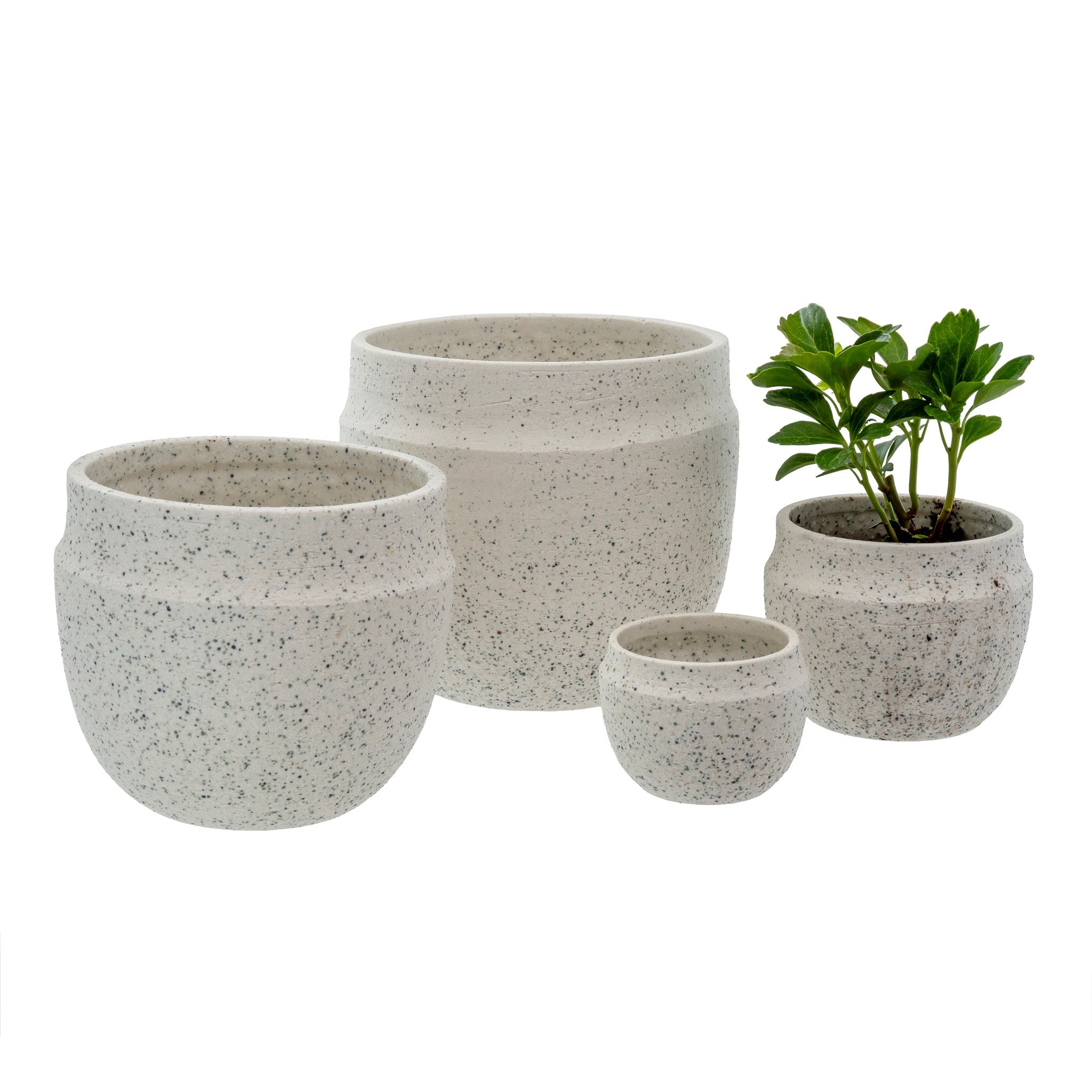 Speckle Classic Pot